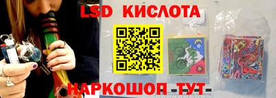 ГАЛЛЮЦИНОГЕННЫЕ ГРИБЫ Канаш