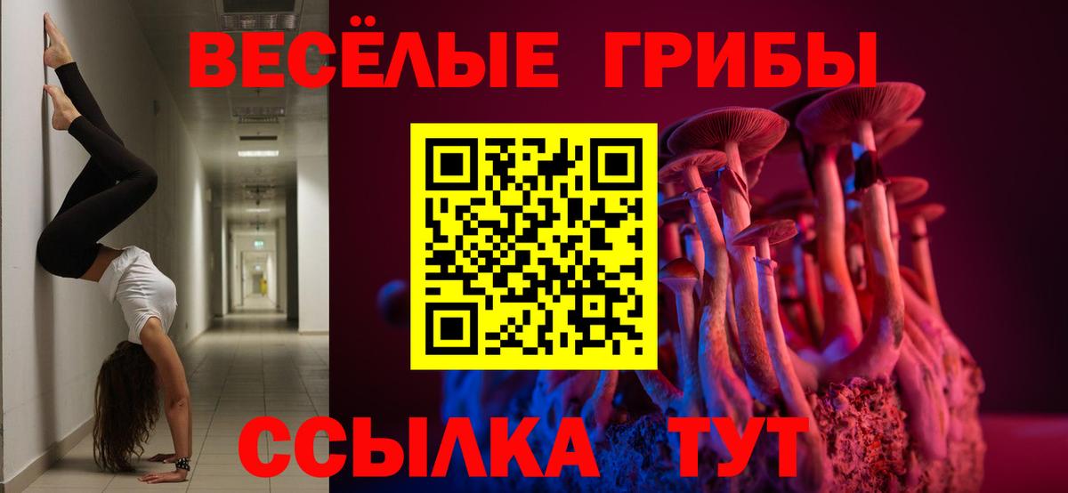 Галлюциногенные грибы Cubensis  Вход с VPN  Качканар 
